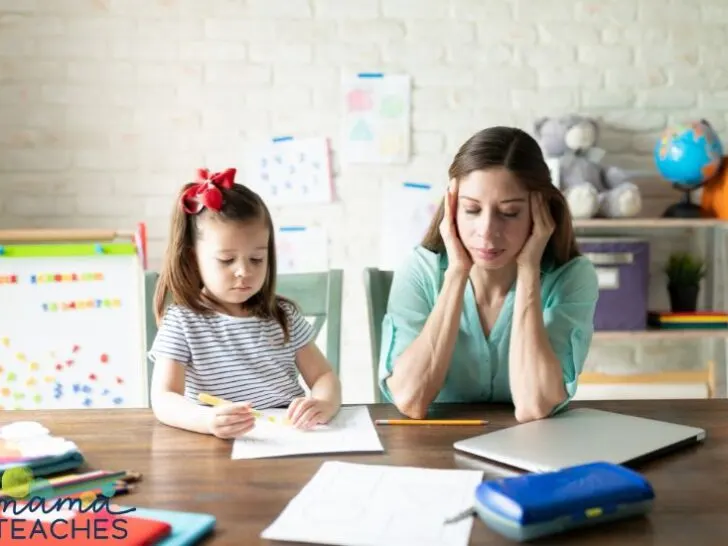 Disadvantages of Homeschooling
