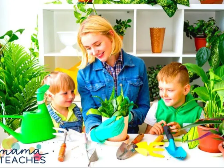 Spring Nature Activities for Kids