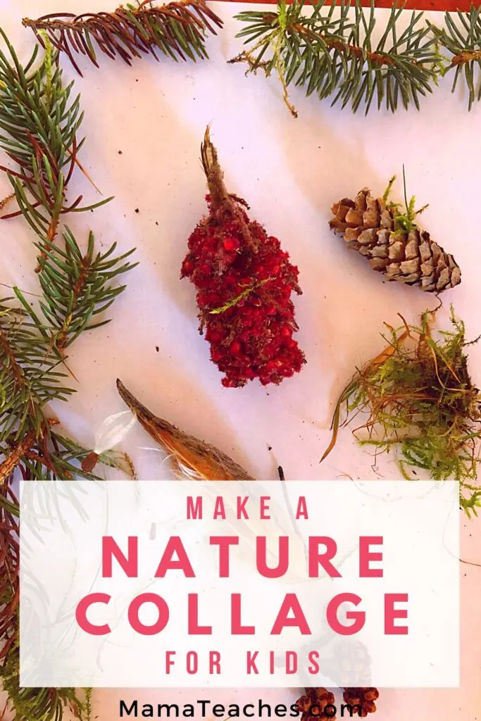 Make a Nature Collage with Kids