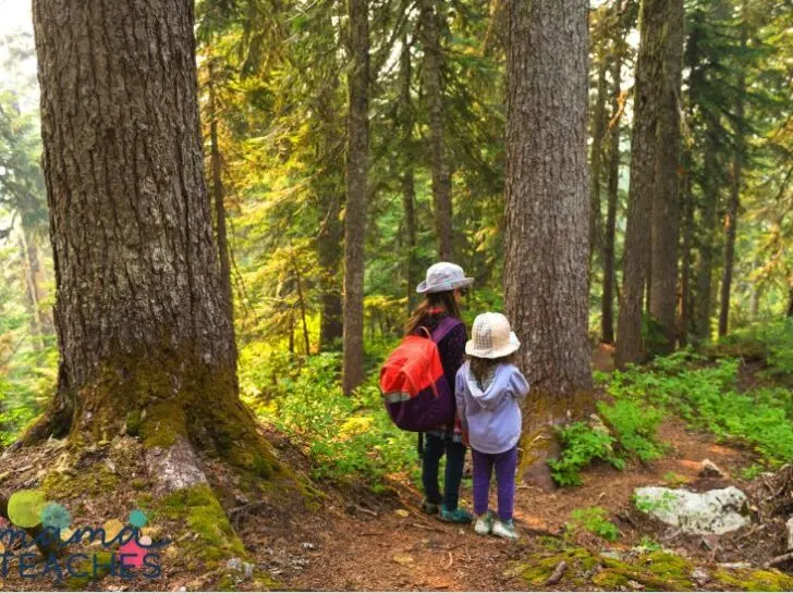 25 Nature Activities for Kids