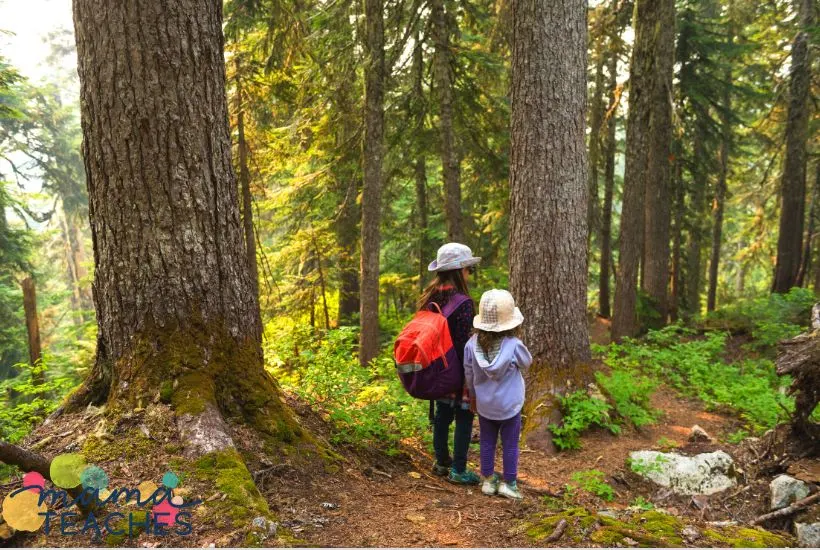 25 Nature Activities for Kids