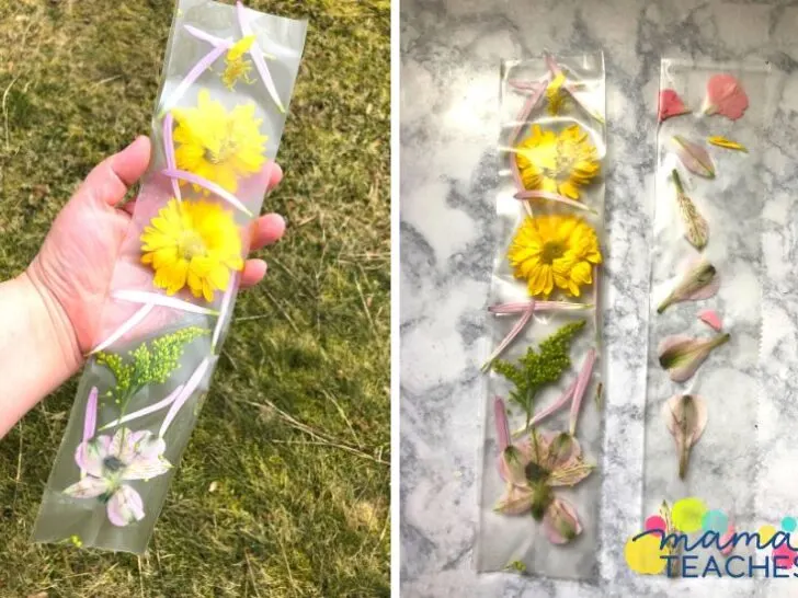 Flower Press Bookmarks