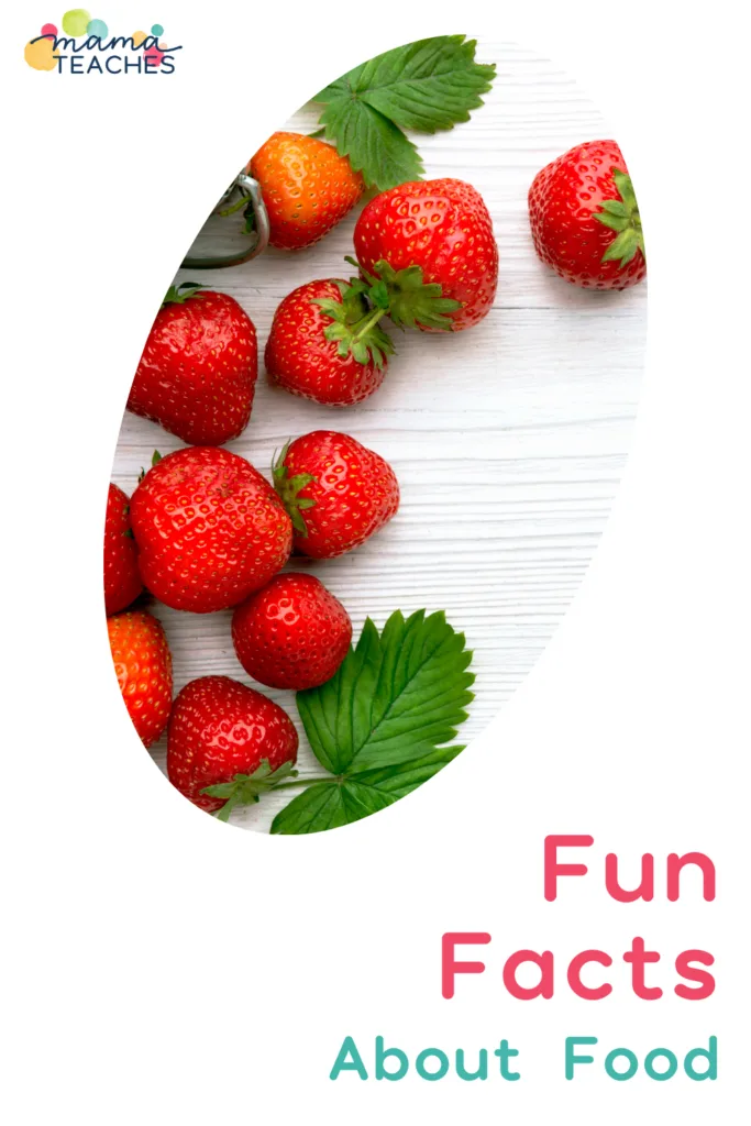 Fun Facts About Food