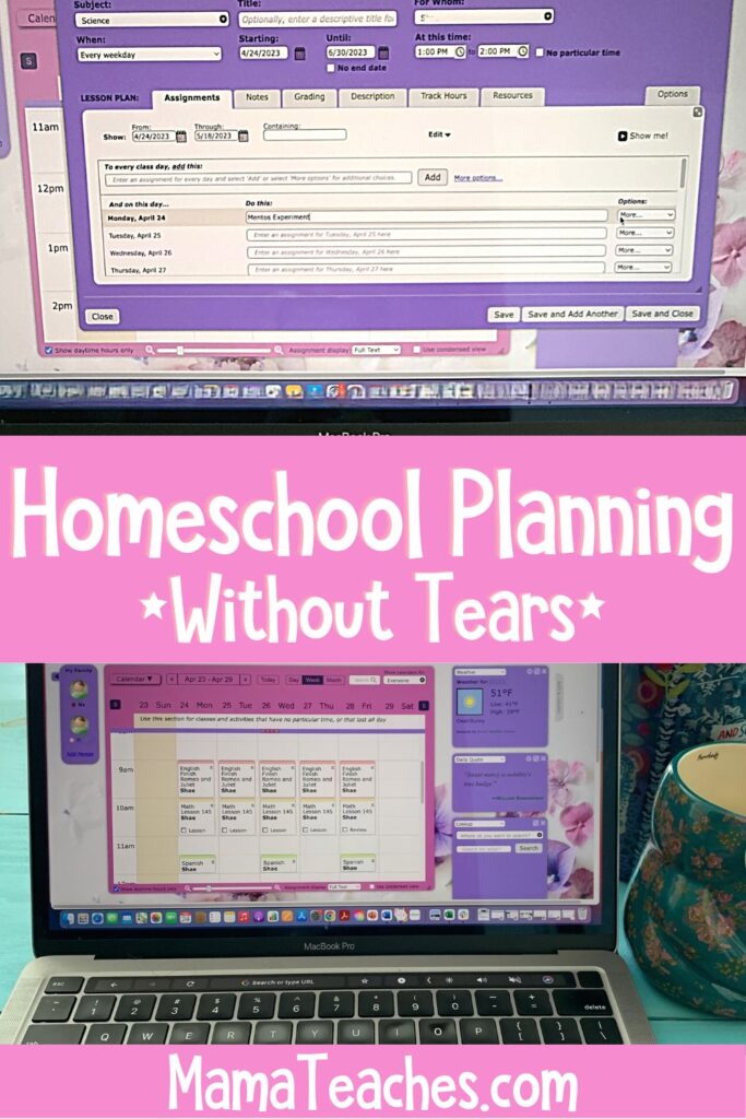 Homeschool Planning Without Tears