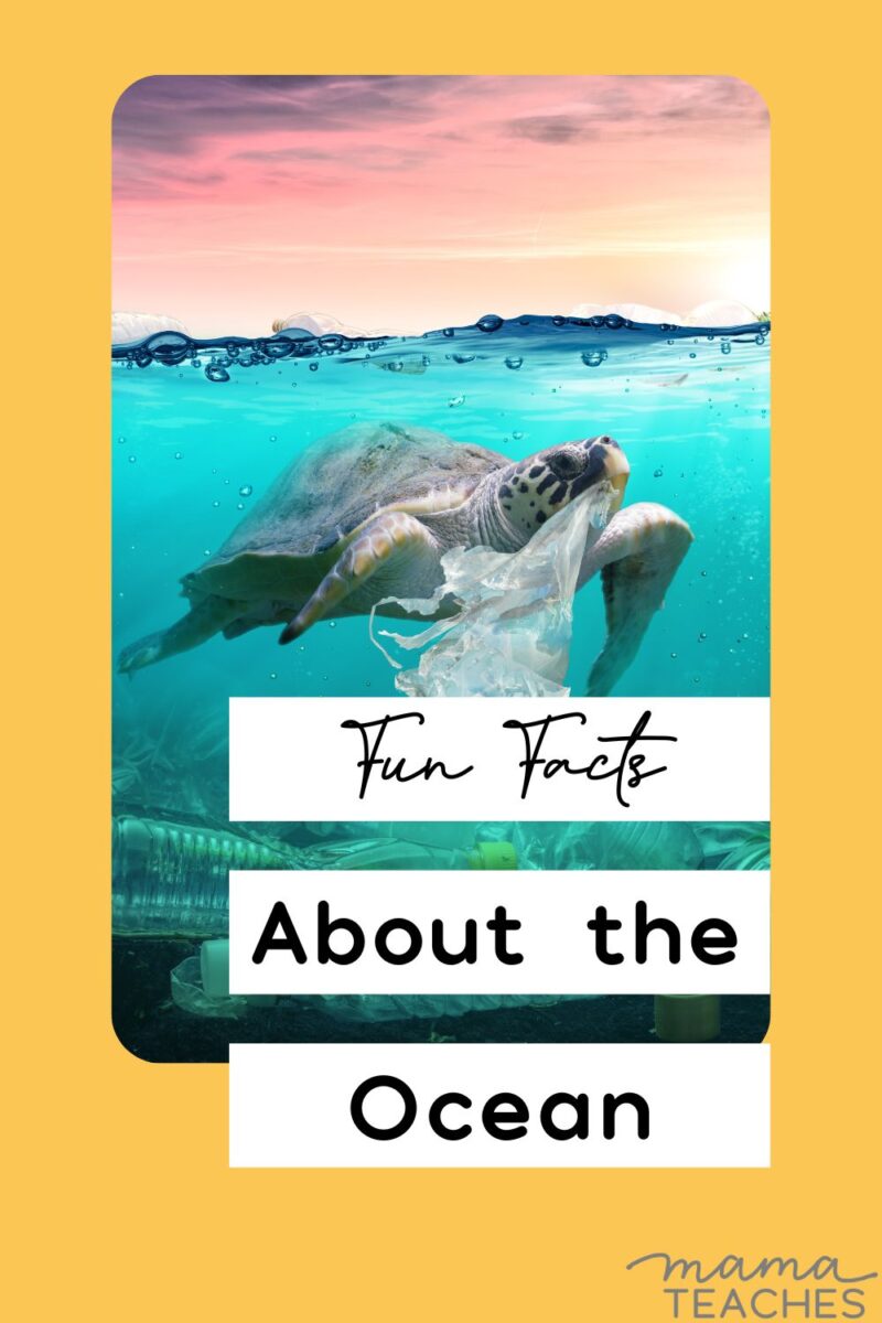 Fun Facts About the Ocean - Mama Teaches