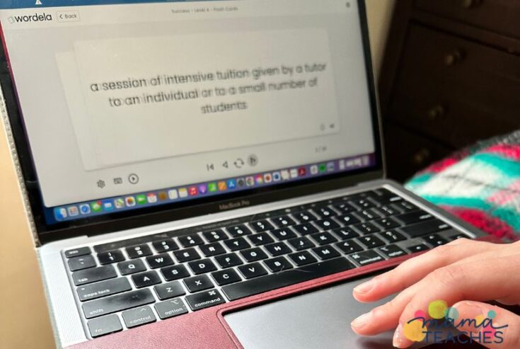 Text Learning Vocabulary Learning for Homeschoolers - Mama Teaches
