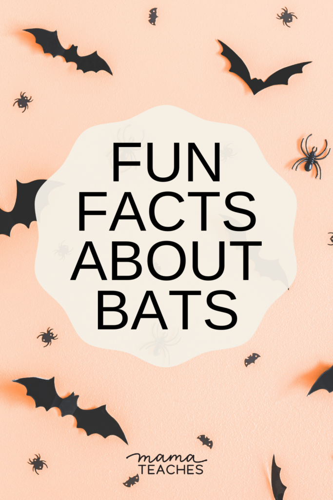 Fun Facts About Bats - Mama Teaches