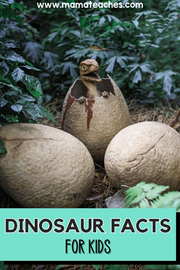 Dinosaur Facts for Kids