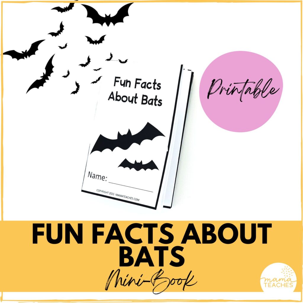 FUN FACTS ABOUT BATS MINI BOOK