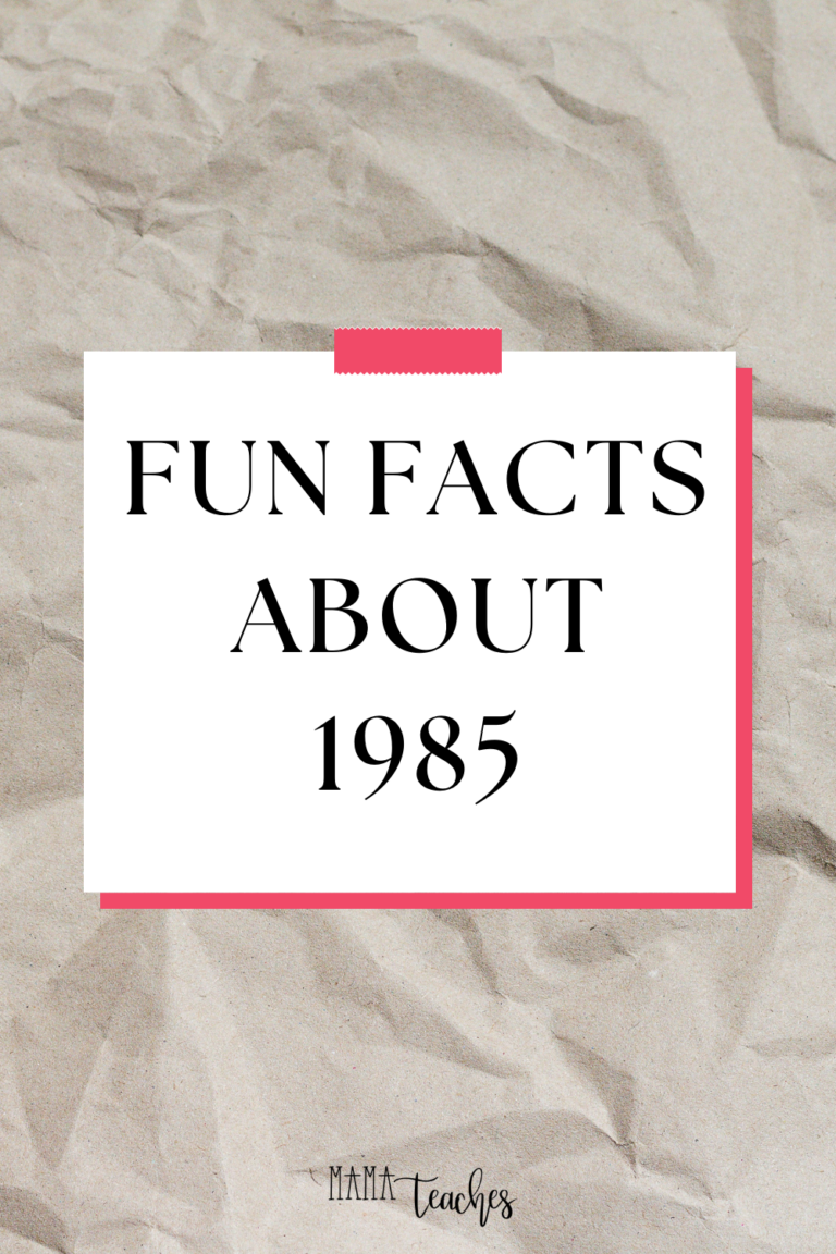1985 FUN FACTS visual data 7