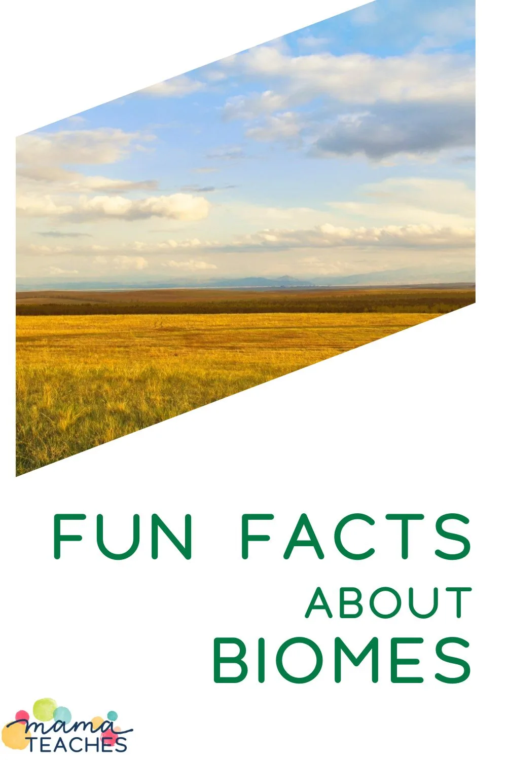 Fun Facts About Biomes