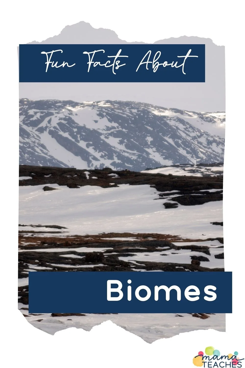 Fun Facts About Biomes