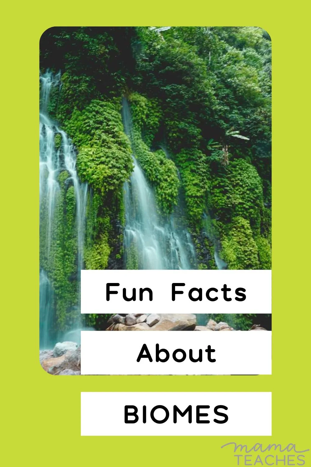 Fun Facts About Biomes