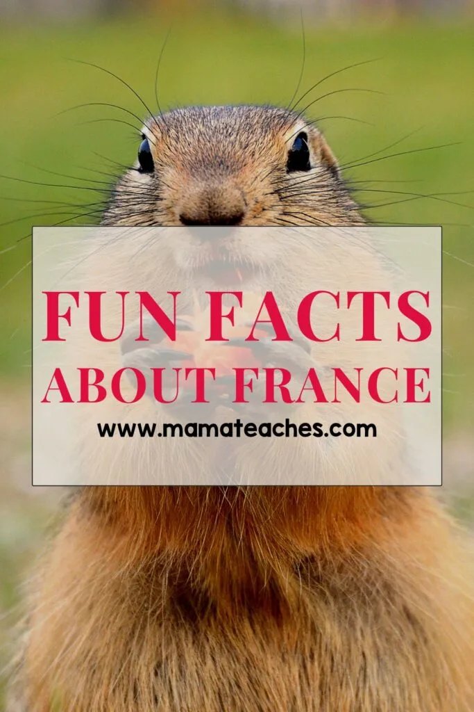 Fun Facts About France