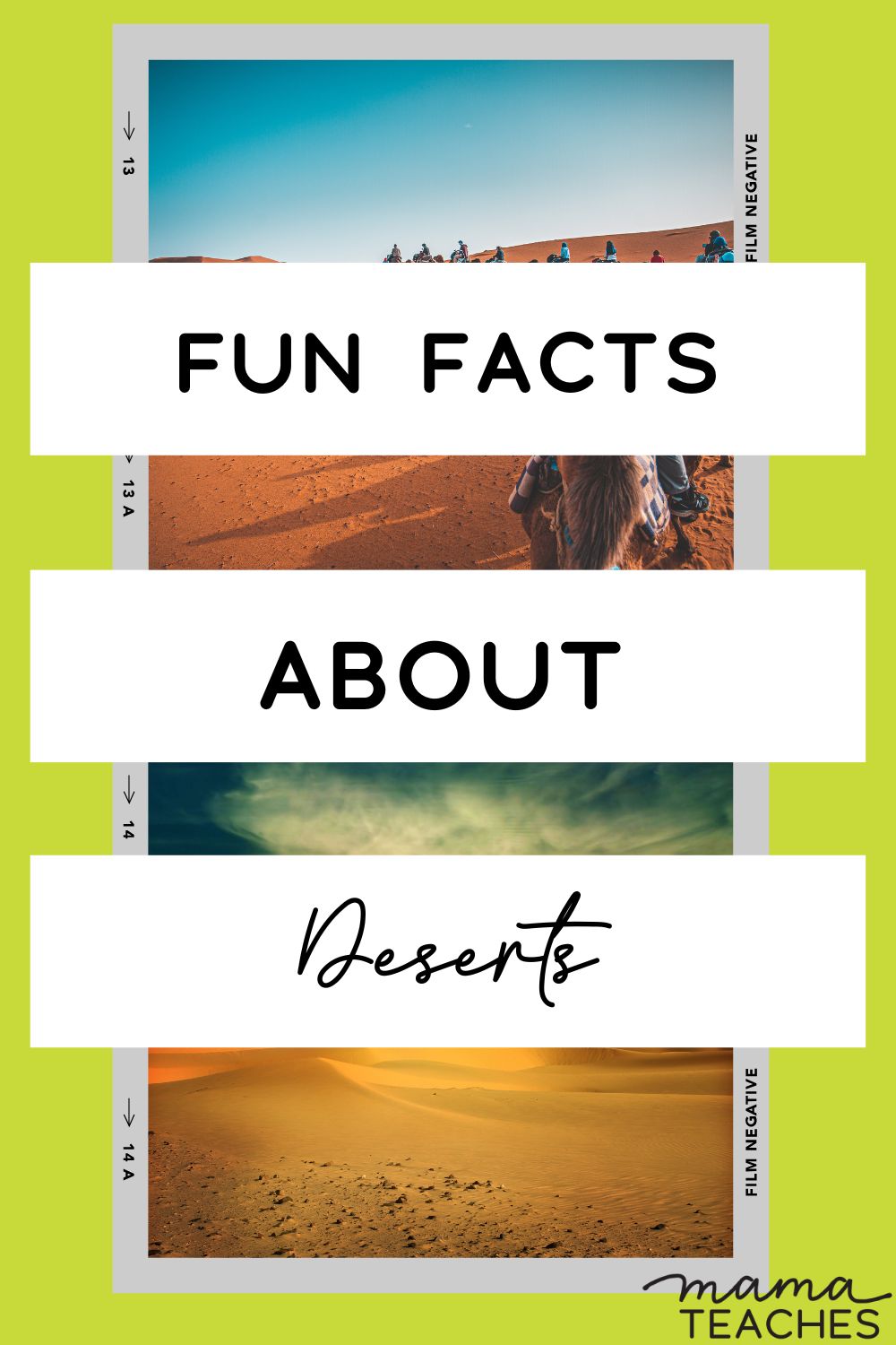 Fun Facts About Deserts -