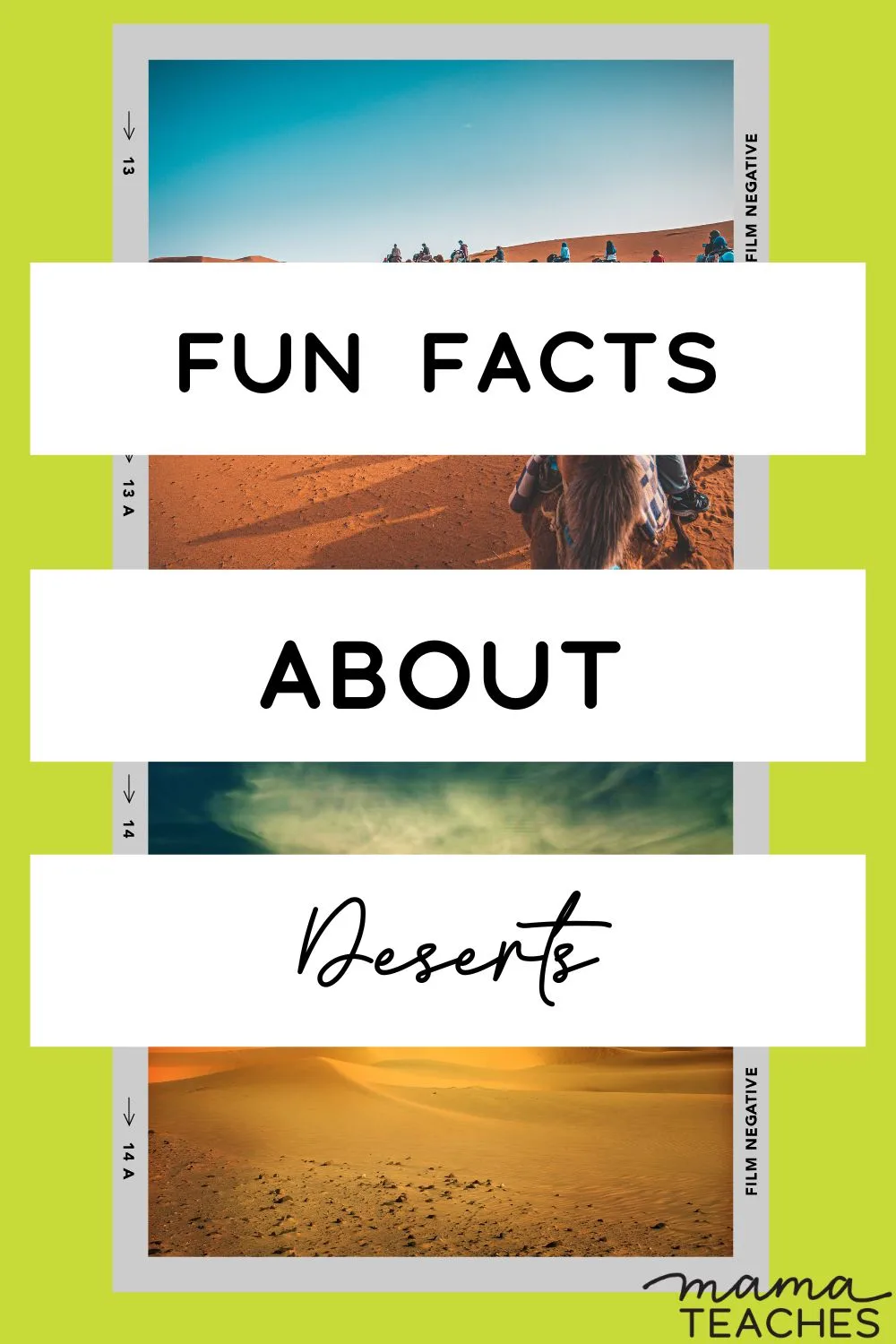 Fun Facts About Deserts -