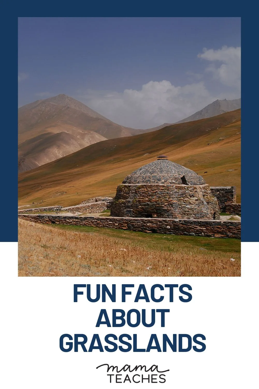 Fun Facts About Grasslands