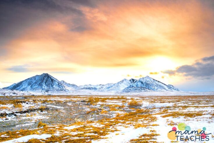 WHAT IS A FUN FACT ABOUT THE TUNDRA visual data 5