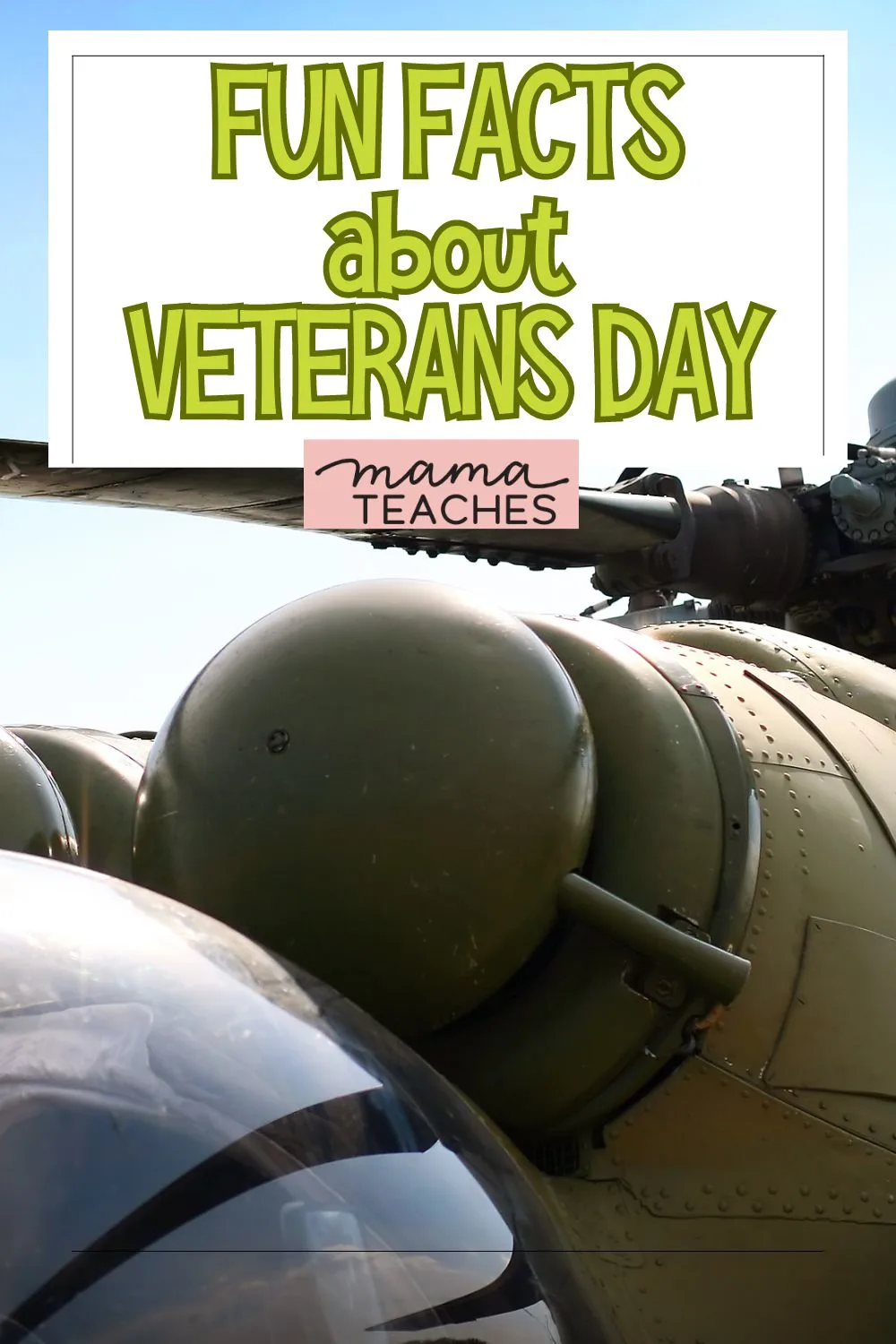 FUN FACTS ABOUT VETERANS DAY