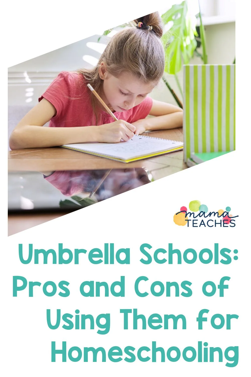 Umbrella Schools Pros and Cons of Using Them for Homeschooling