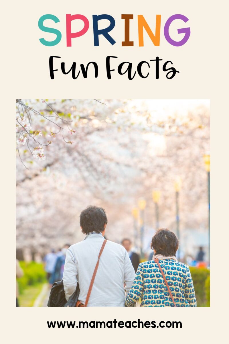 Fun Facts About Spring - Mama Teaches