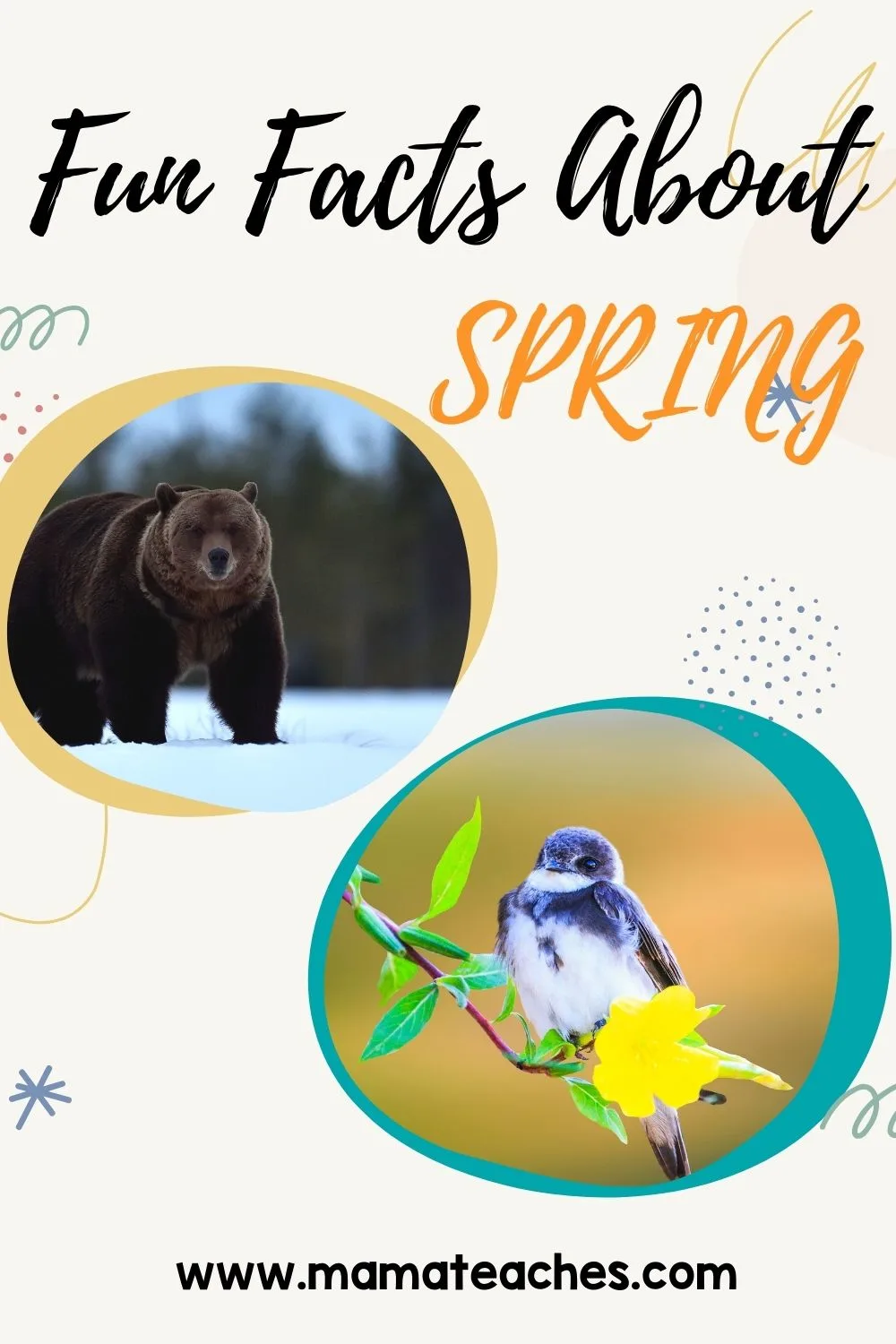 Fun Facts About Spring