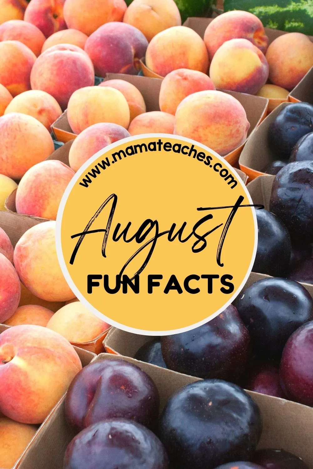 Fun Facts About August - Mama Teaches