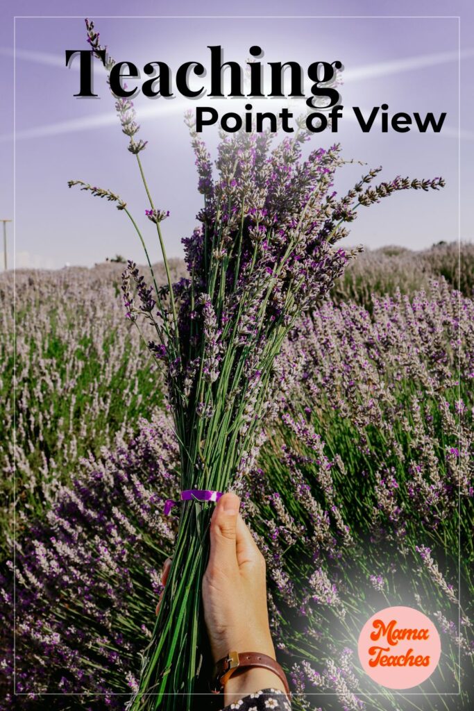 Teaching Point of View