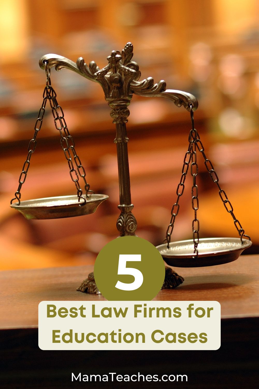 5 Best Law Firms for Education Cases
