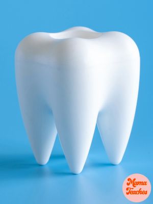 THE DENTAL LESSONS I DIDN'T KNOW I'D LEARN AS A PARENT