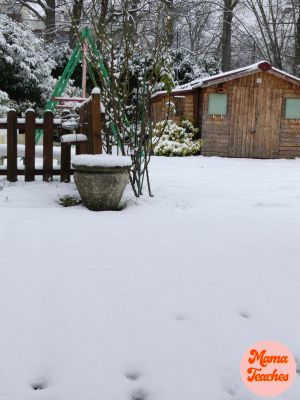 how to get your backyard winter ready