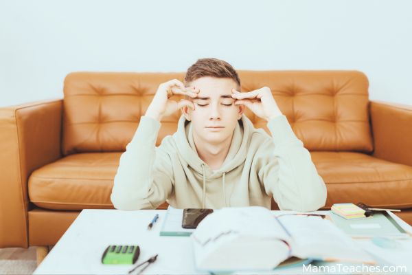How Teens Can Handle School Pressure