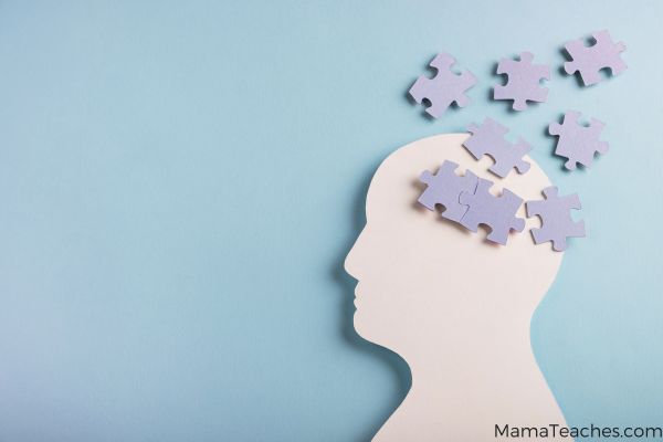 Teaching Executive Function Skills: Strategies to Help Kids Stay Organized and Focused
