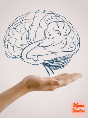 What Are Executive Function Skills? A Parent-Friendly Guide