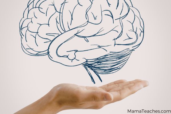 What Are Executive Function Skills? A Parent-Friendly Guide