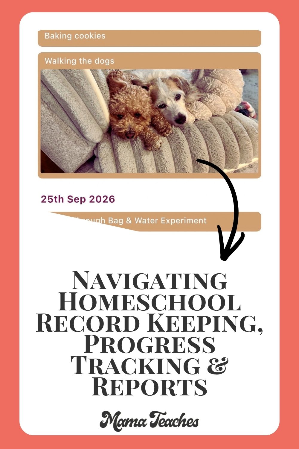 Navigating Homeschool
Record Keeping, Progress Tracking & Reports