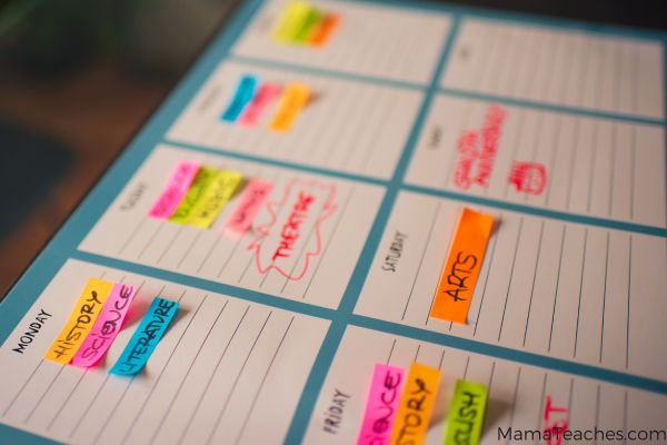 Using Visual Schedules to Support Executive Functioning at Every Age